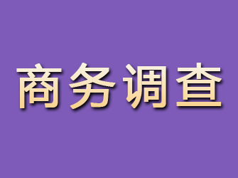 和林格尔商务调查